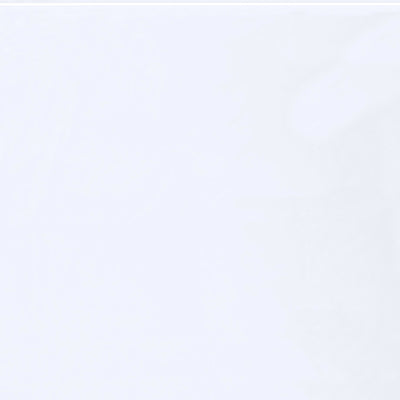24x24 2 Mil Reclosable FDA Poly Bags 250/Case PB3690 - alias listing
