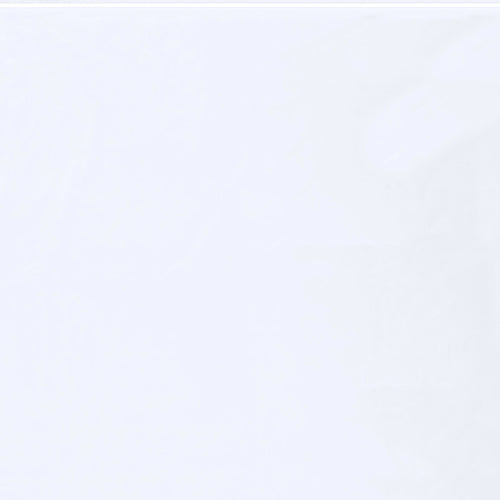 24x24 2 Mil Reclosable FDA Poly Bags 250/Case PB3690 - alias listing