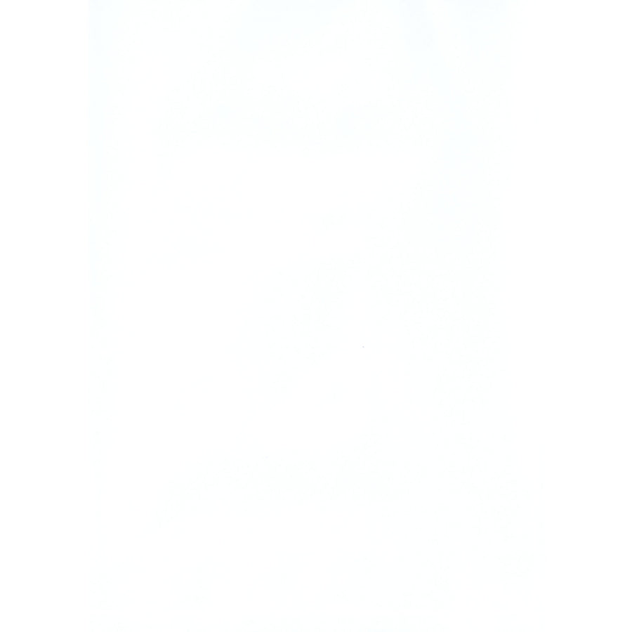 4x6 2 Mil White Flat Poly Bags 1000/Case PB390W - alias listing