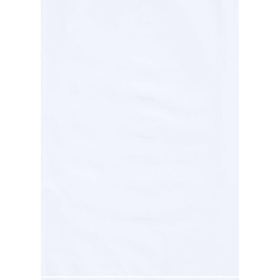 6x9 2 Mil White Flat Poly Bags 1000/Case PB440W - alias listing