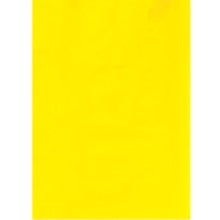 6x9 2 Mil Yellow Flat Poly Bags 100/Case PB440Y100PK - alias listing