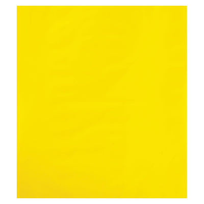 8x10 2 Mil Yellow Poly Bags 1000/Case PB465Y - alias listing