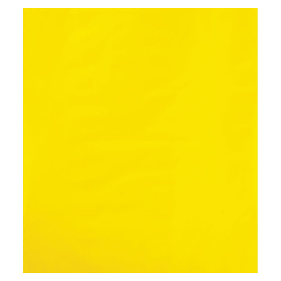 8x10 2 Mil Yellow Poly Bags 1000/Case PB465Y - alias listing