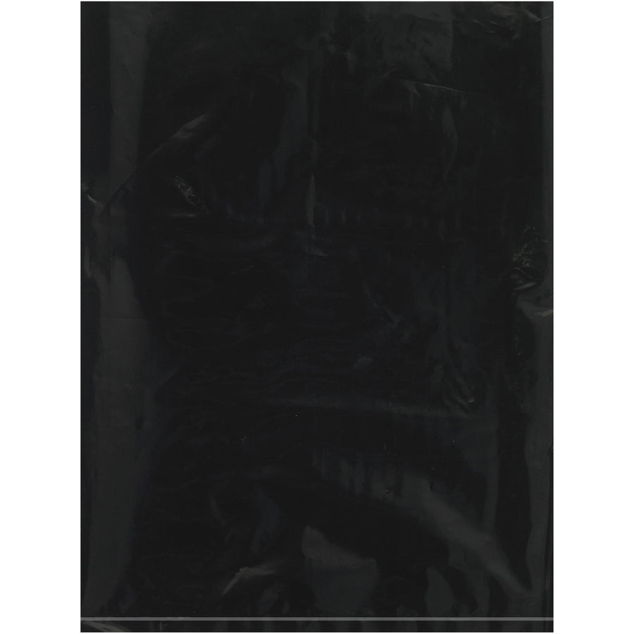 9x12" Black 2 Mil Flat Poly Bags - 1000/Case Storage