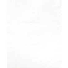 9x12 2 Mil White Flat Poly Bags 100/Case PB480W100PK - alias listing