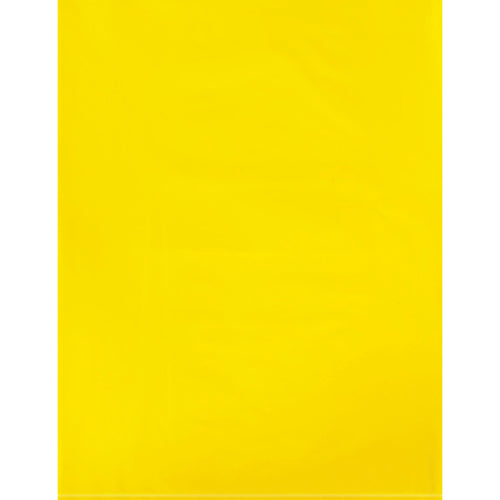 9x12 2 Mil Yellow Poly Bags 1000/Case PB480Y - alias listing
