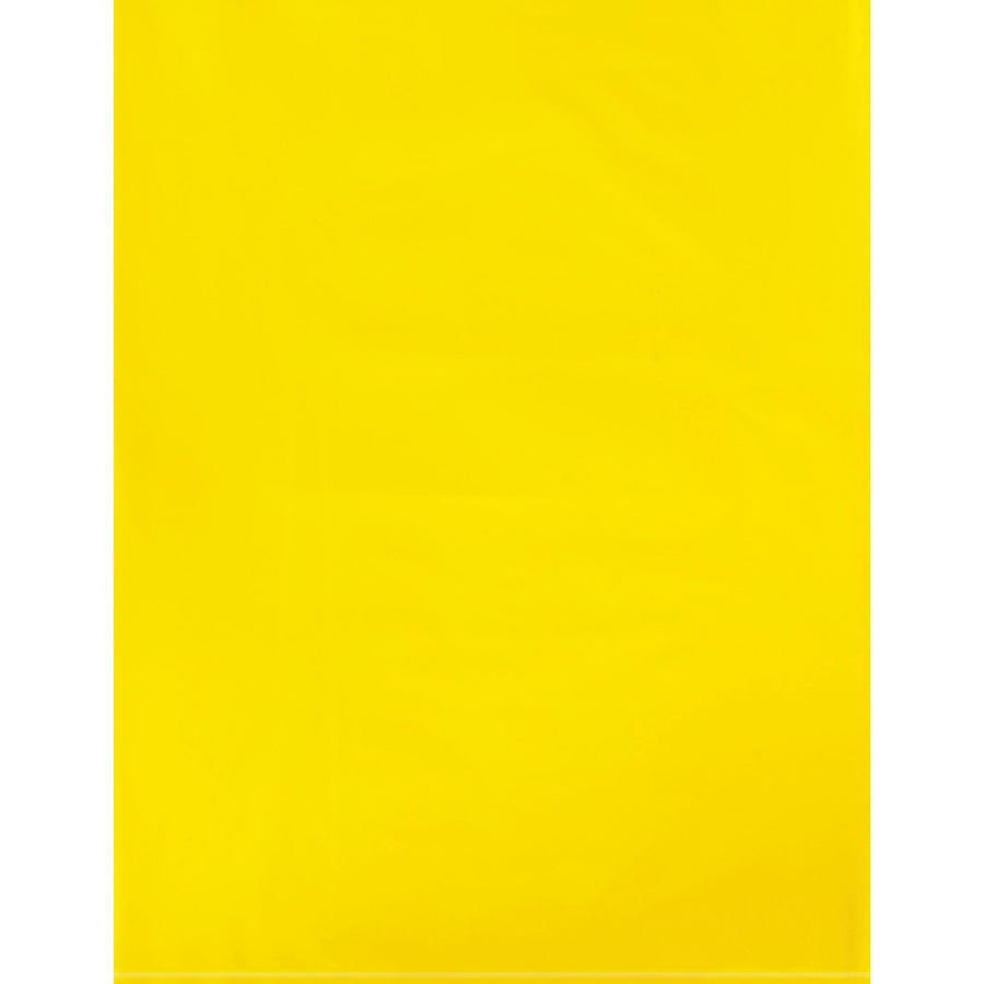 9x12 2 Mil Yellow Poly Bags 1000/Case PB480Y - alias listing