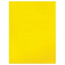 9x12 2 Mil Yellow Flat Poly Bags 100/Case PB480Y100PK - alias listing