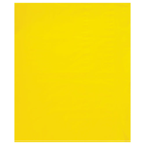 15x18 2 Mil Yellow Flat Poly Bags 1000/Case PB572Y