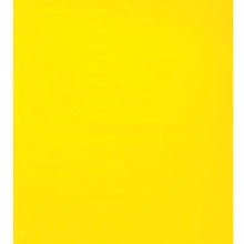 15x18 2 Mil Yellow Flat Poly Bags 100/Case PB572Y100PK - alias listing