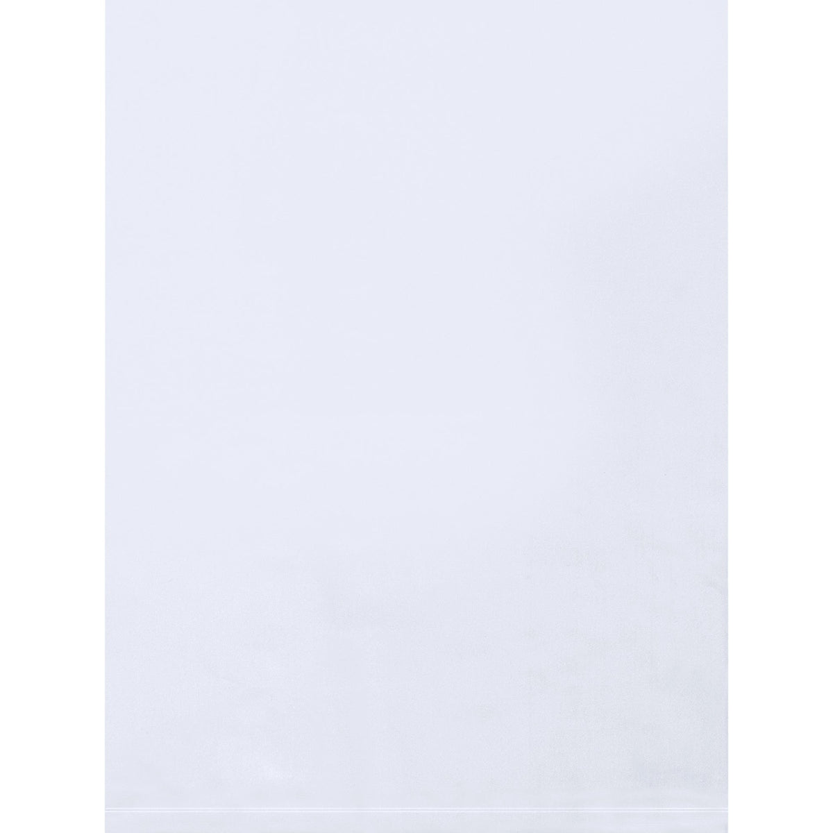20x30 6 Mil Clear Flat Heavy-Duty Poly Bags 200/Case PB8610