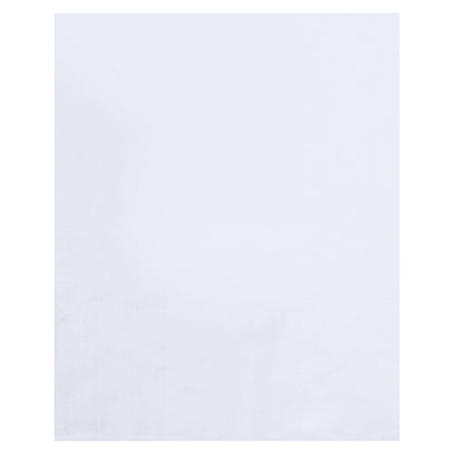 24x36 6 Mil Clear Flat Heavy-Duty Poly Bags 100/Case PB8635 - alias listing