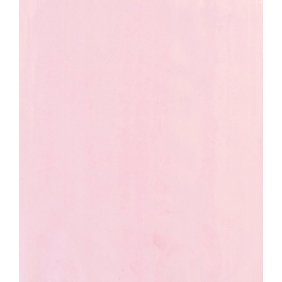 4x2 2 Mil Pink Flat Anti-Static Poly Bags 1000/Case PBAS345 - alias listing