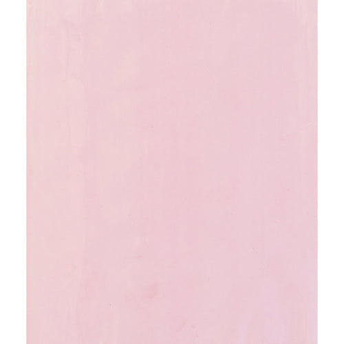 4x6 2 Mil Pink Anti-Static Poly Bags 1000/Case PBAS390 - alias listing