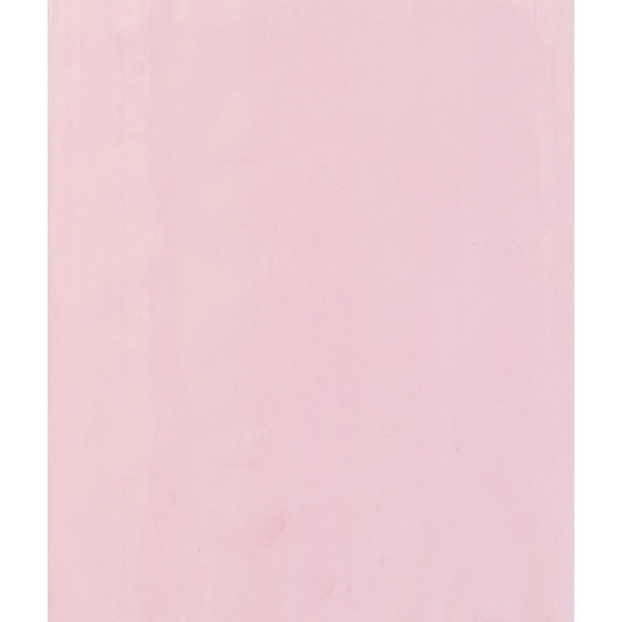 4x6 2 Mil Pink Anti-Static Poly Bags 1000/Case PBAS390 - alias listing