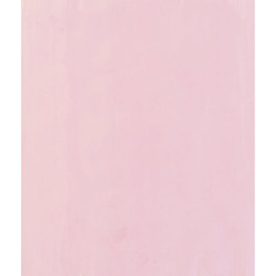 12x15 2 Mil Pink Flat Anti-Static Poly Bags 500/Case PBAS534 - alias listing