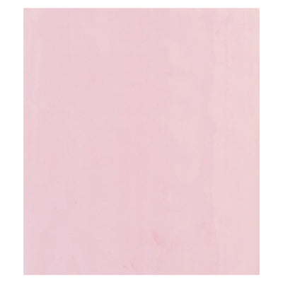 24x30 2 Mil Pink Flat Anti-Static Poly Bags 250/Case PBAS620 - alias listing