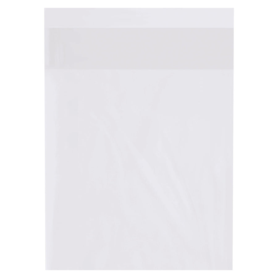 12x16 2 Mil Clear Poly Bags 1000/Case PBFL121602 - alias listing
