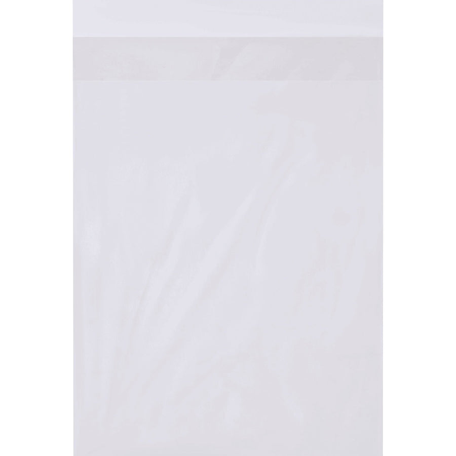18x24 2 Mil Clear Poly Bags 500/Case PBFL182402 - alias listing