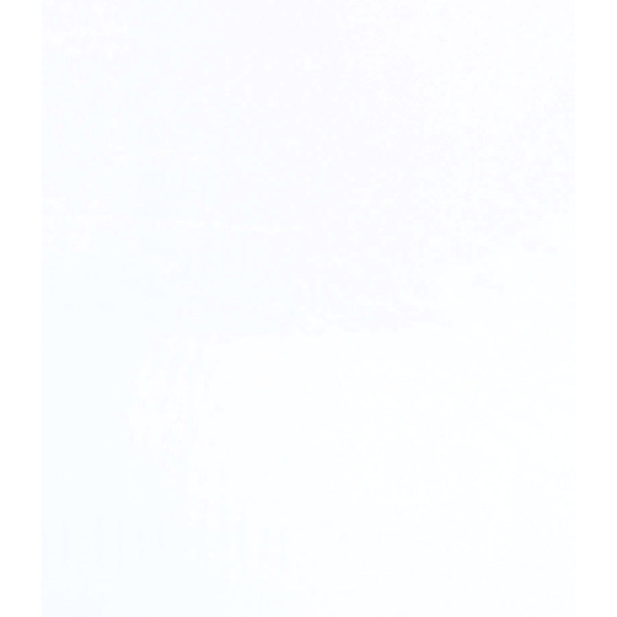 3x4 1.5 Mil Clear Polypropylene Flat Bags PZ400 - alias listing