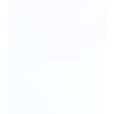 6x6 1.5 Mil Clear Polypropylene Flat Bags 2000/Case PZ431 - alias listing