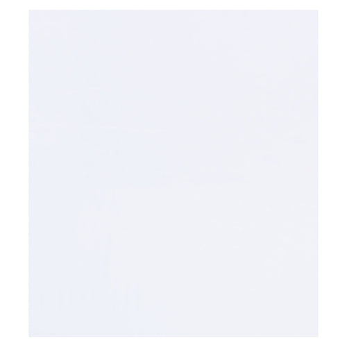 6x10 1.5 Mil Clear Polypropylene Flat Bags 1000/Case PZ434