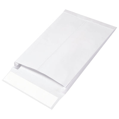 10x13x1.5 White Reinforced Expandable Ship-Lite Mailers 100/Case SLE10131WE - alias listing