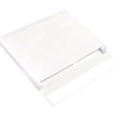 10x15x2 26 lb Reinforced Expandable Ship-Lite Mailers 100/Case SLE10152WS - alias listing