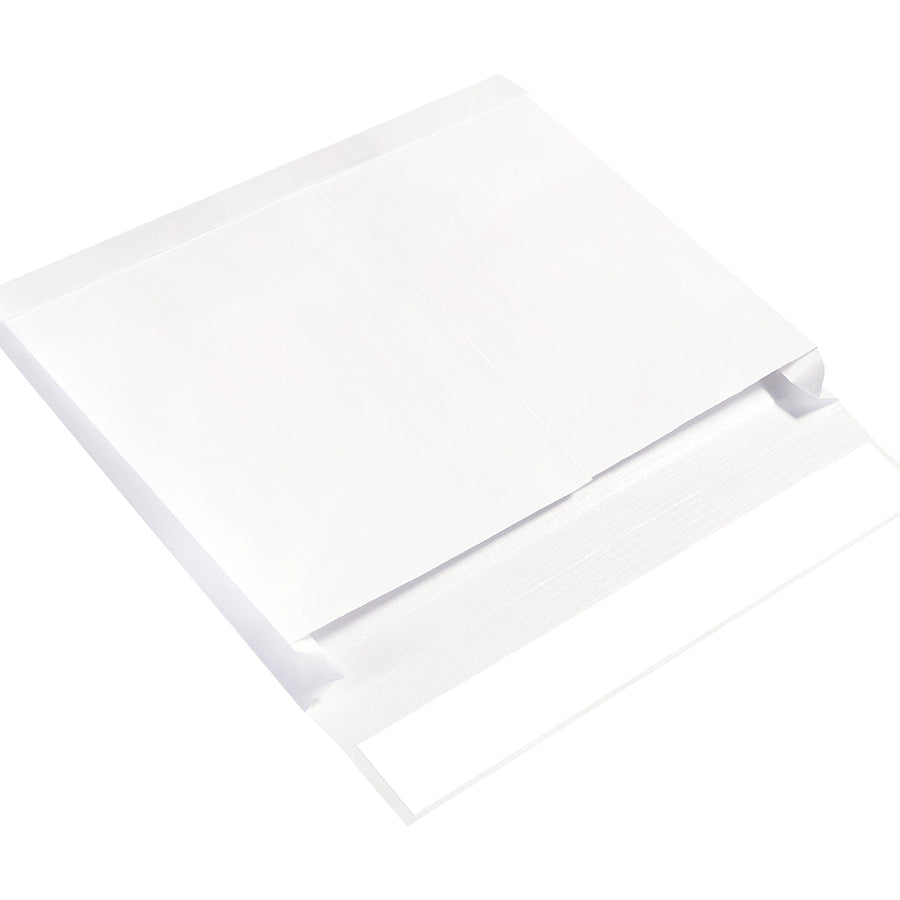 10x15x2 26 lb Reinforced Expandable Ship-Lite Mailers 100/Case SLE10152WS - alias listing