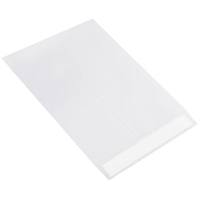 Ship-Lite® envelopes deliver six times the strength of standard paper mailers in a convenient 10x13" self-seal format. Reinforced with mesh screen poly fibers and moisture-resistant coating, these white flat mailers ship 100 units per case for maximum cost efficiency. Perfect for industrial, e-commerce, and office shipping needs.