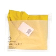 11.75x15.75 Transparent Paper Transport Bags 750/Case TPTB115 - alias listing
