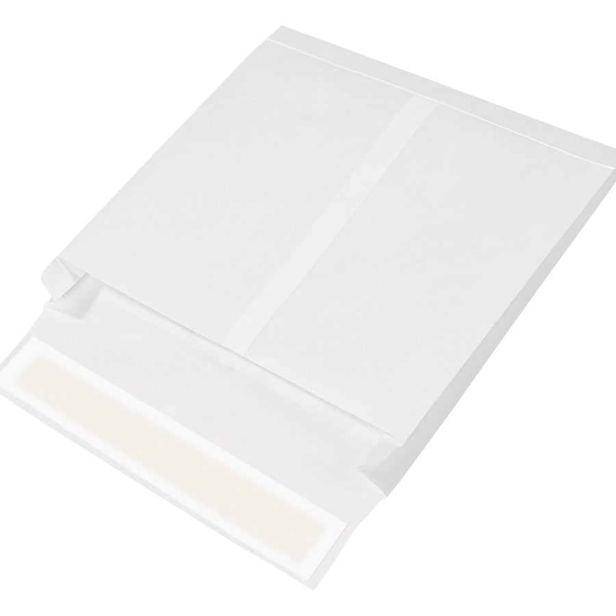 10x13x2 Expandable Tyvek Envelopes 100/Case TYE10132WS - alias listing