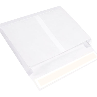 10x15x2 White Expandable Tyvek Envelopes 100/Case TYE10152WS - alias listing