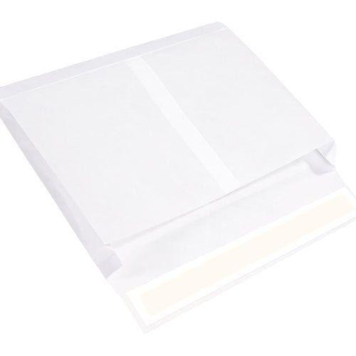 10x15x2 White Expandable Tyvek Envelopes 100/Case TYE10152WS - alias listing